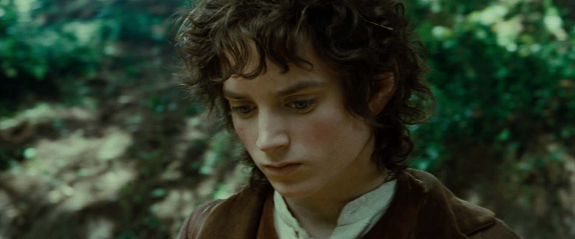 The Lord of the Rings: The Fellowship of the Ring (2001) movie still 6127