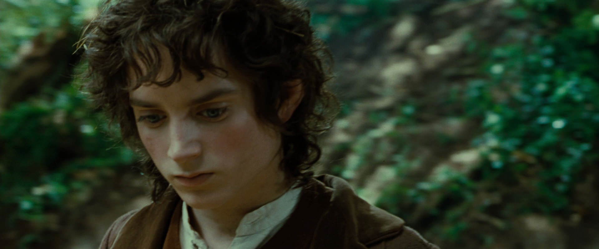 The Lord of the Rings: The Fellowship of the Ring (2001) HD screenshot 6128