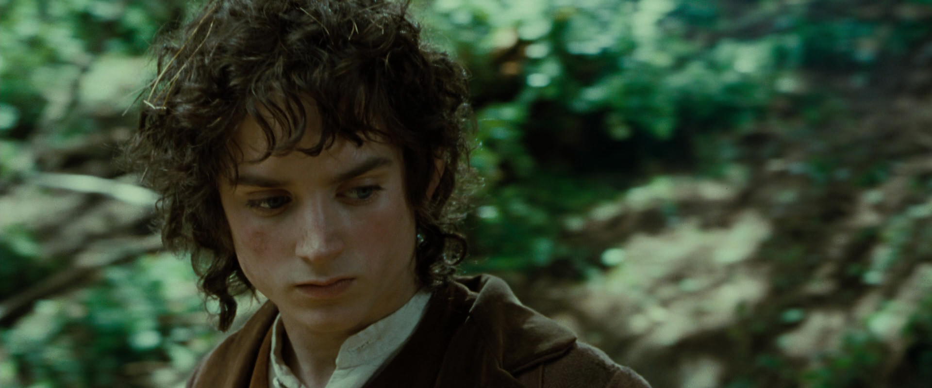 The Lord of the Rings: The Fellowship of the Ring (2001) screencap 6129