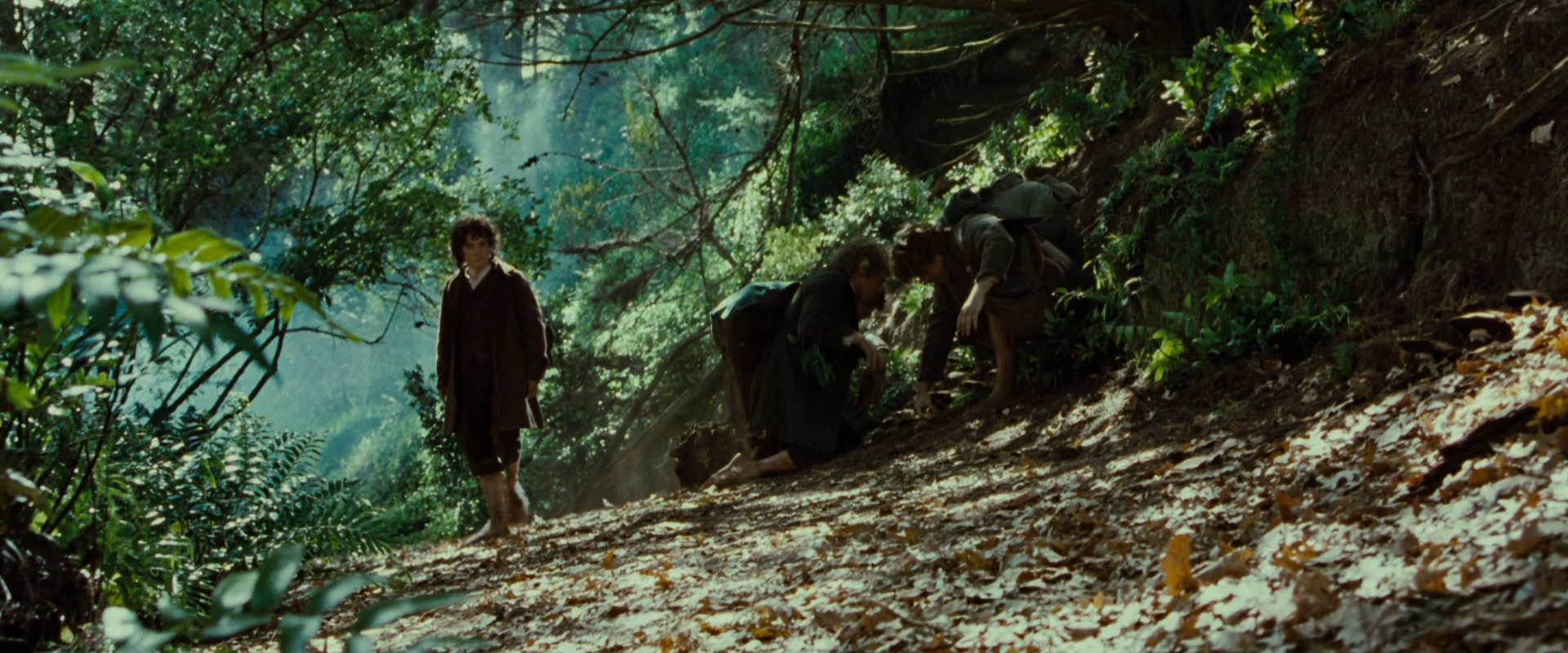 The Lord of the Rings: The Fellowship of the Ring (2001) movie still 6130
