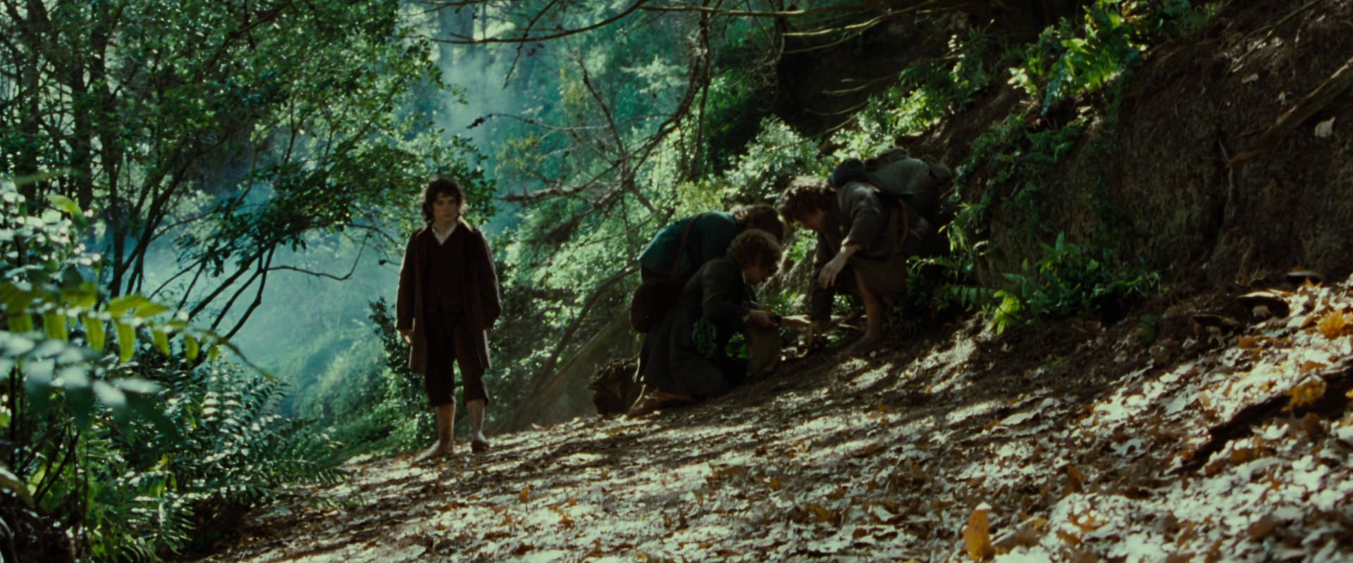 The Lord of the Rings: The Fellowship of the Ring (2001) HD screenshot 6131