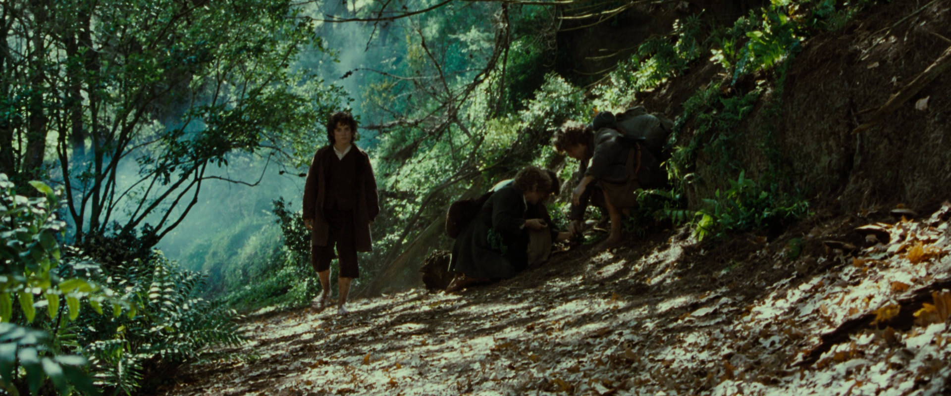 The Lord of the Rings: The Fellowship of the Ring (2001) screencap 6132