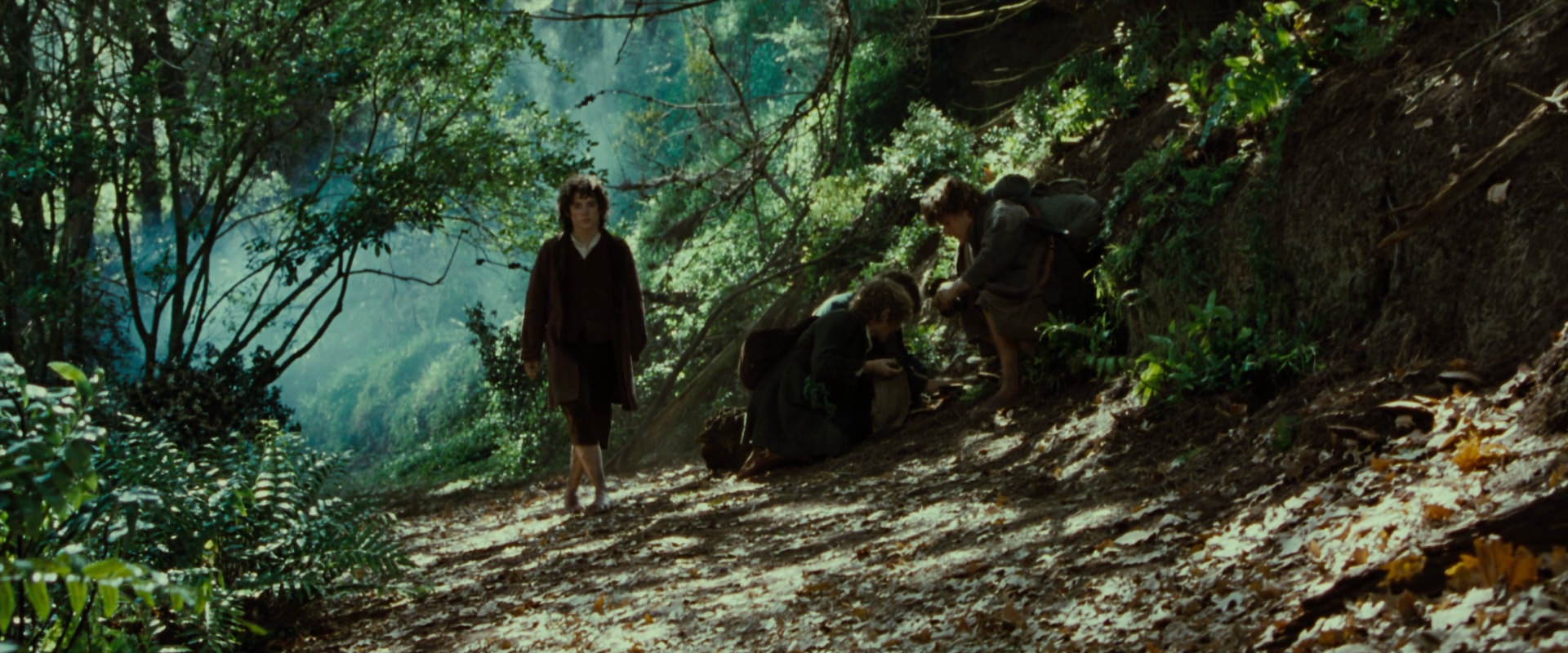 The Lord of the Rings: The Fellowship of the Ring (2001) movie still 6133