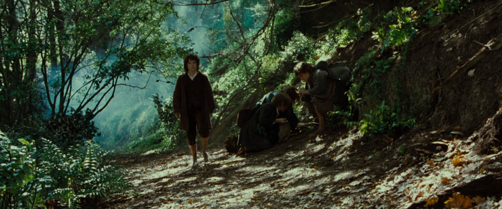 The Lord of the Rings: The Fellowship of the Ring (2001) HD screenshot 6134