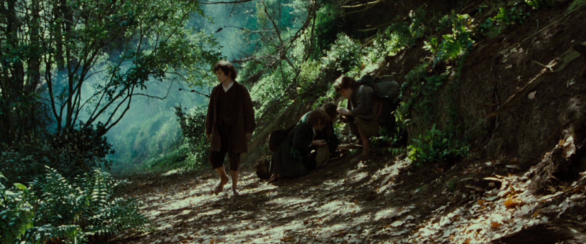 The Lord of the Rings: The Fellowship of the Ring (2001) screencap 6135