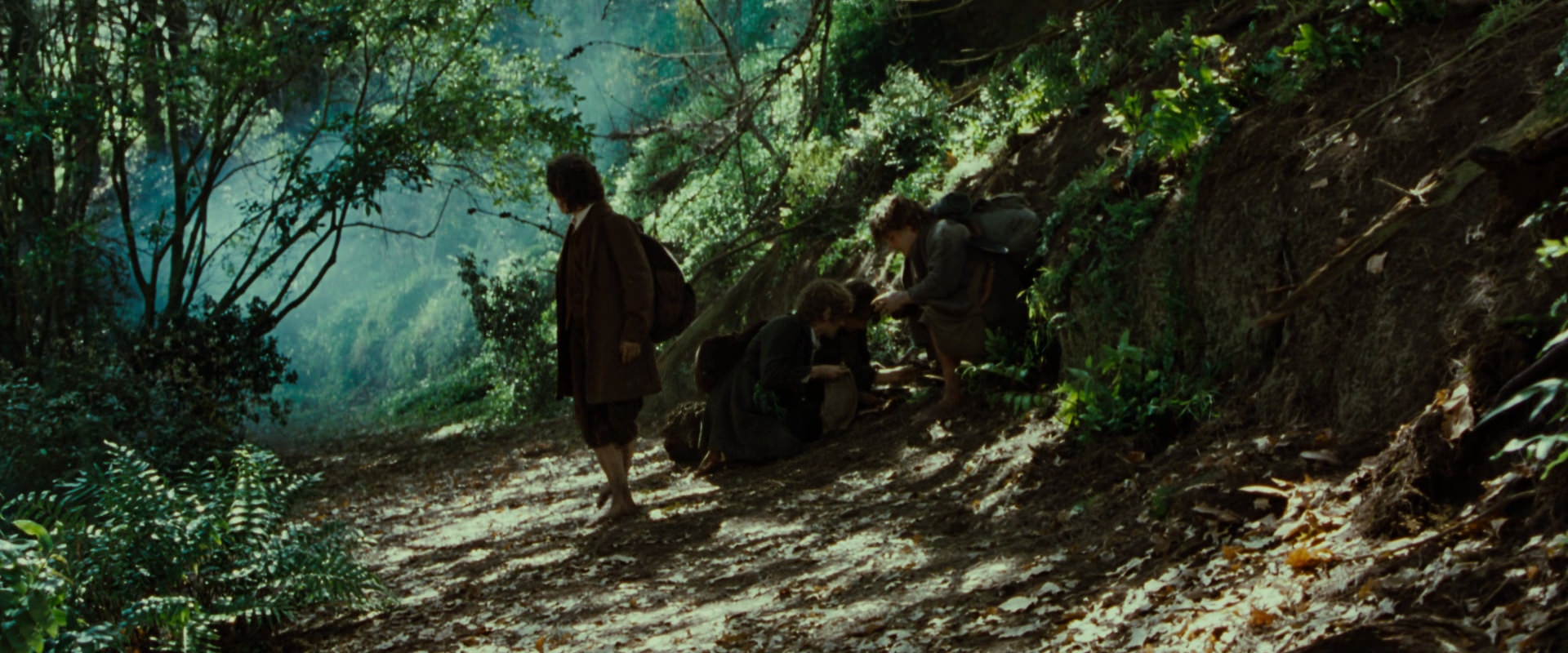 The Lord of the Rings: The Fellowship of the Ring (2001) movie still 6136