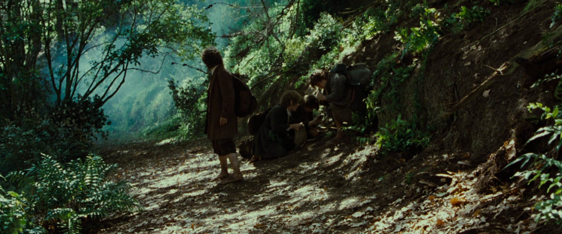 The Lord of the Rings: The Fellowship of the Ring (2001) HD screenshot 6137