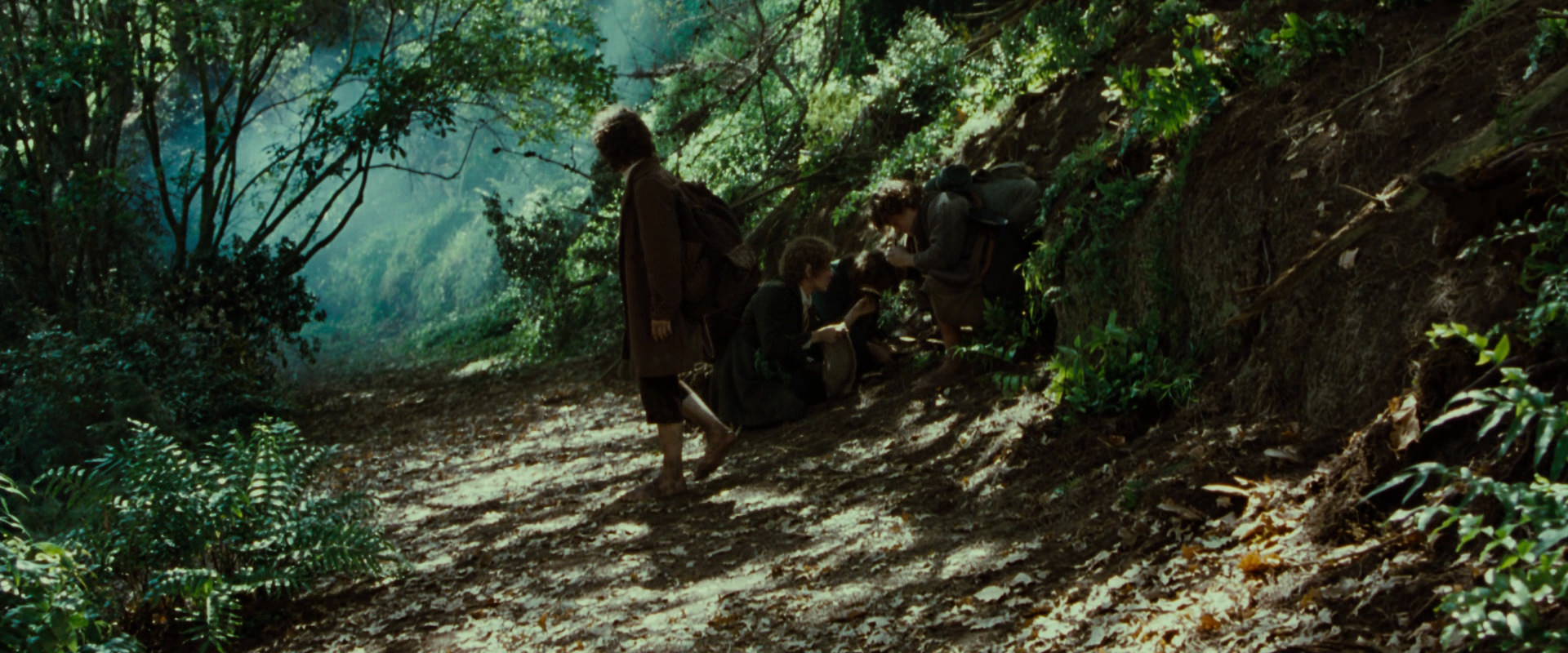 The Lord of the Rings: The Fellowship of the Ring (2001) screencap 6138