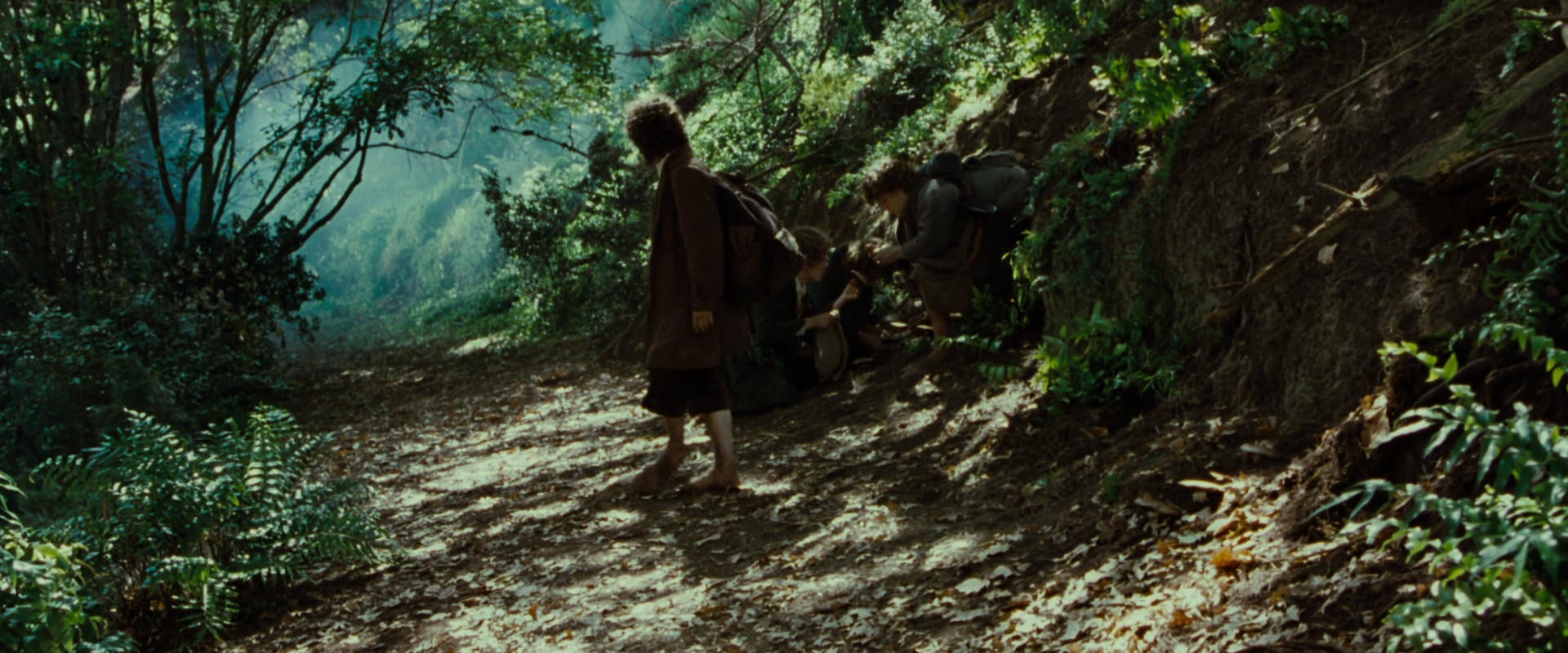 The Lord of the Rings: The Fellowship of the Ring (2001) movie still 6139