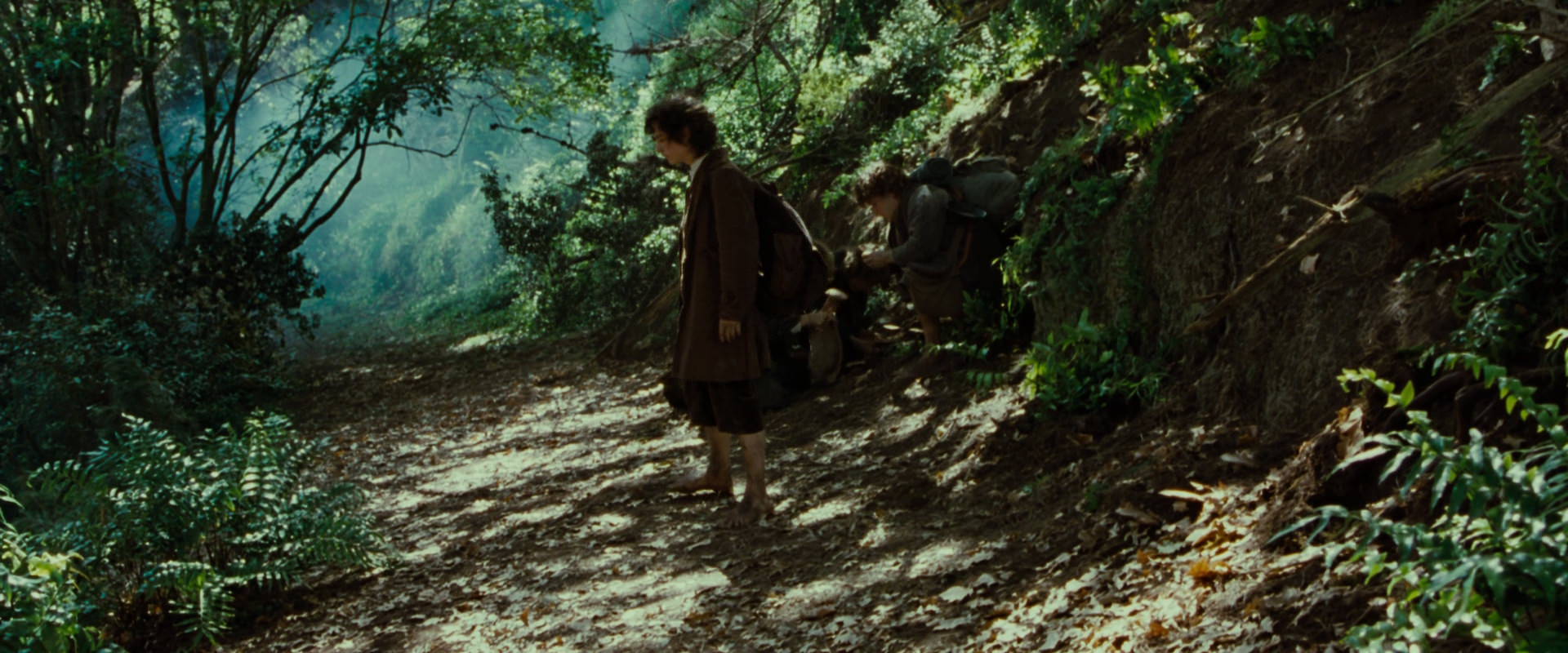 The Lord of the Rings: The Fellowship of the Ring (2001) HD screenshot 6140