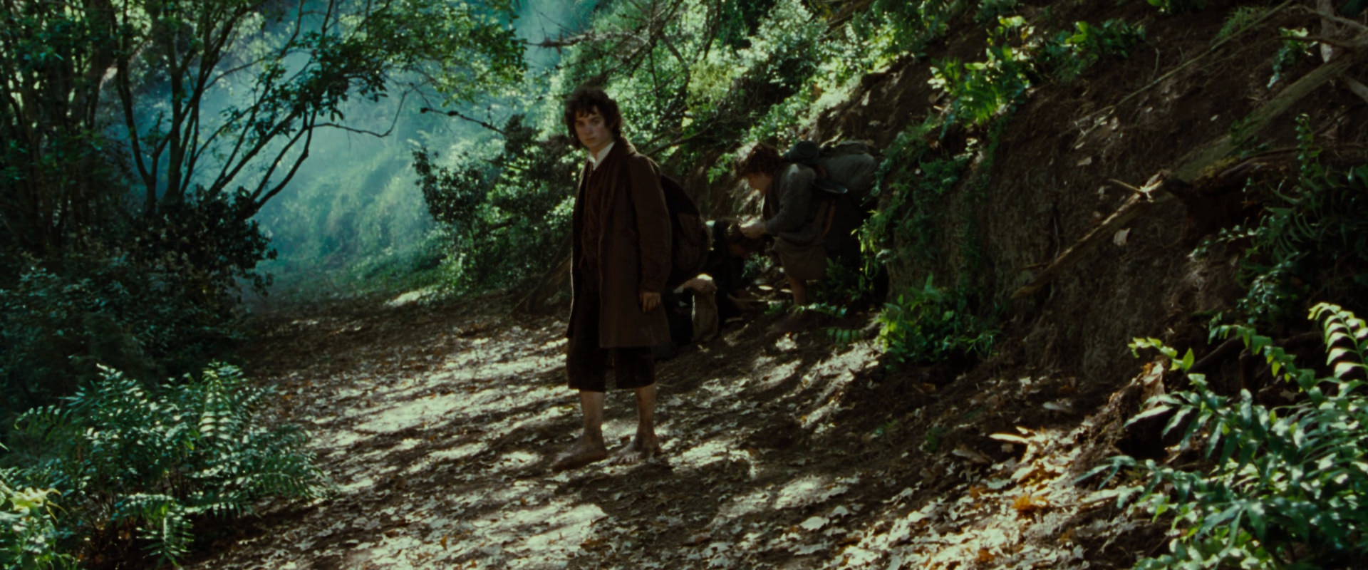 The Lord of the Rings: The Fellowship of the Ring (2001) screencap 6141