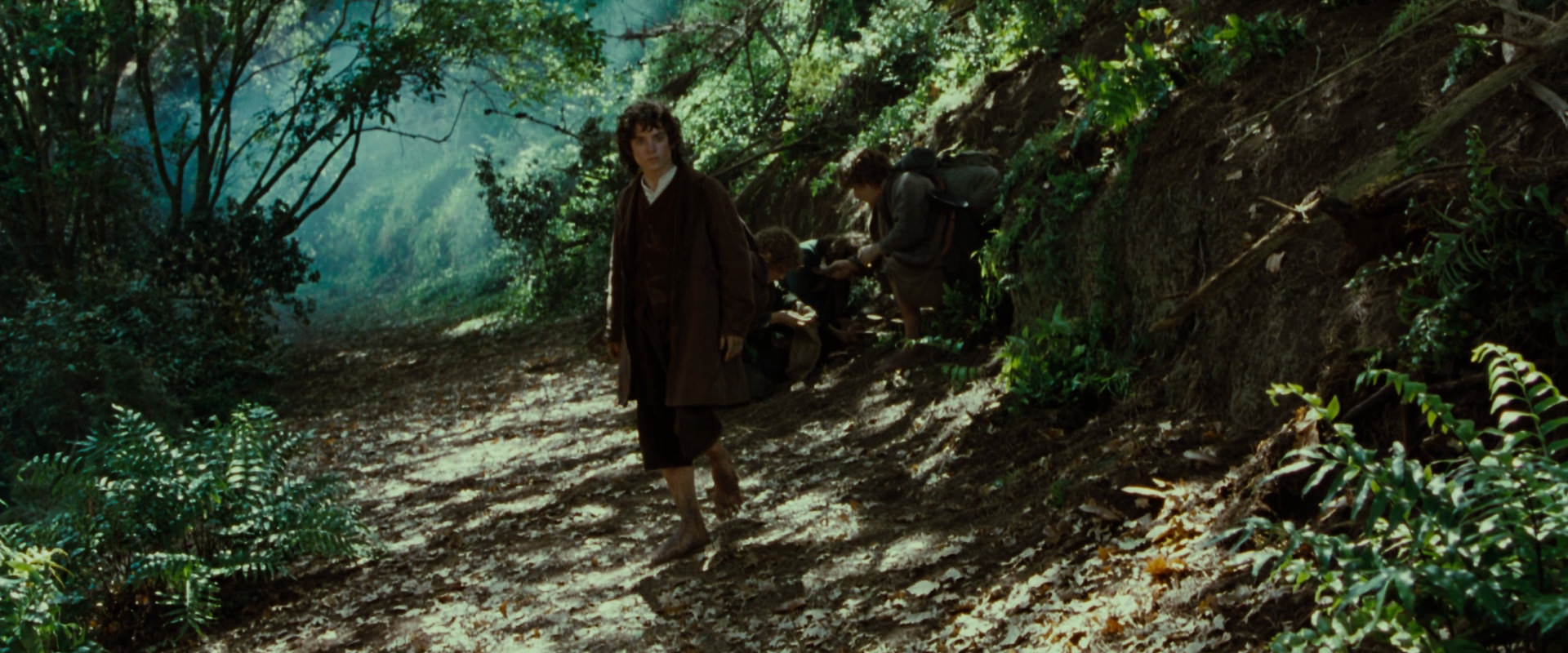 The Lord of the Rings: The Fellowship of the Ring (2001) movie still 6142