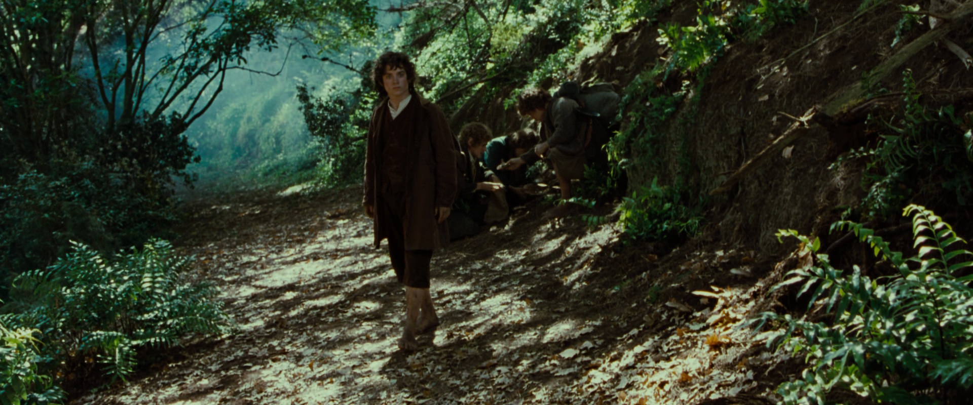 The Lord of the Rings: The Fellowship of the Ring (2001) HD screenshot 6143