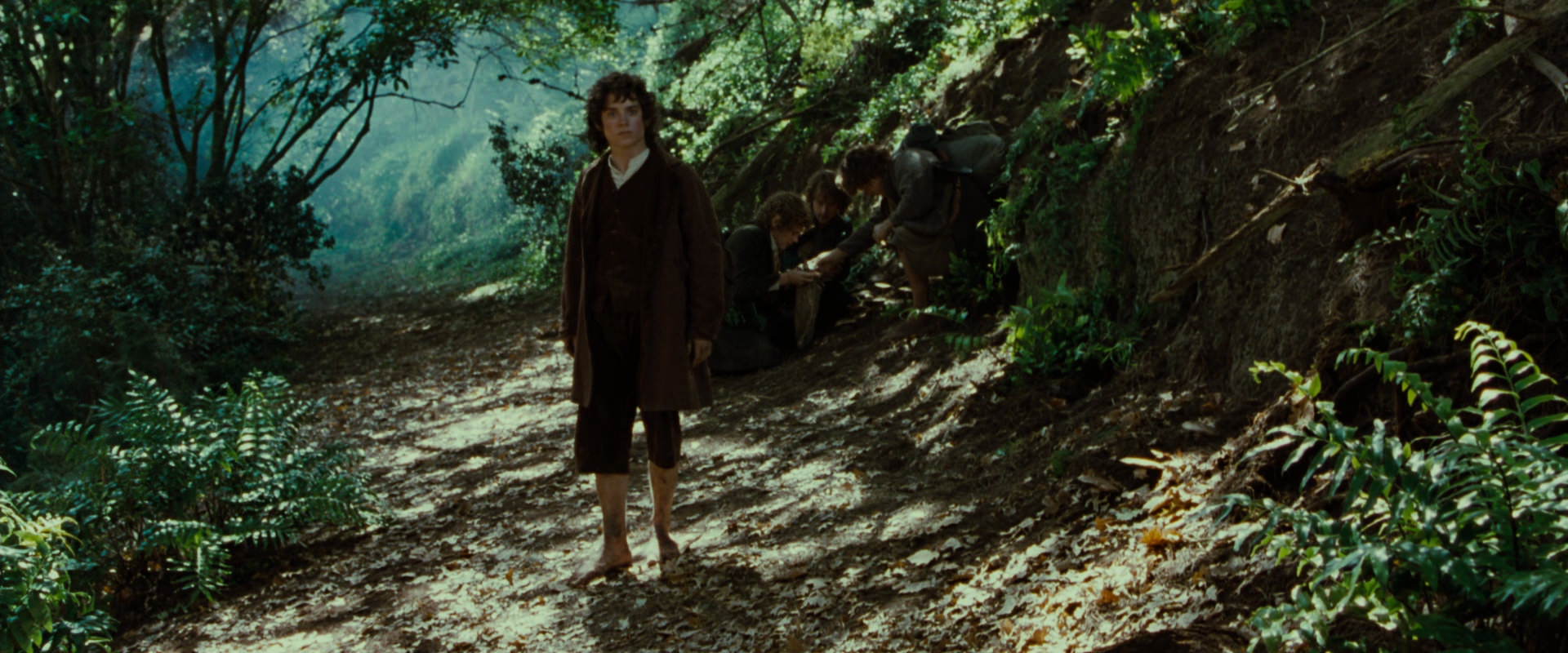 The Lord of the Rings: The Fellowship of the Ring (2001) movie still 6145