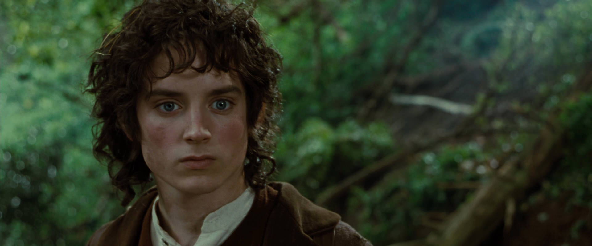 The Lord of the Rings: The Fellowship of the Ring (2001) HD screenshot 6146