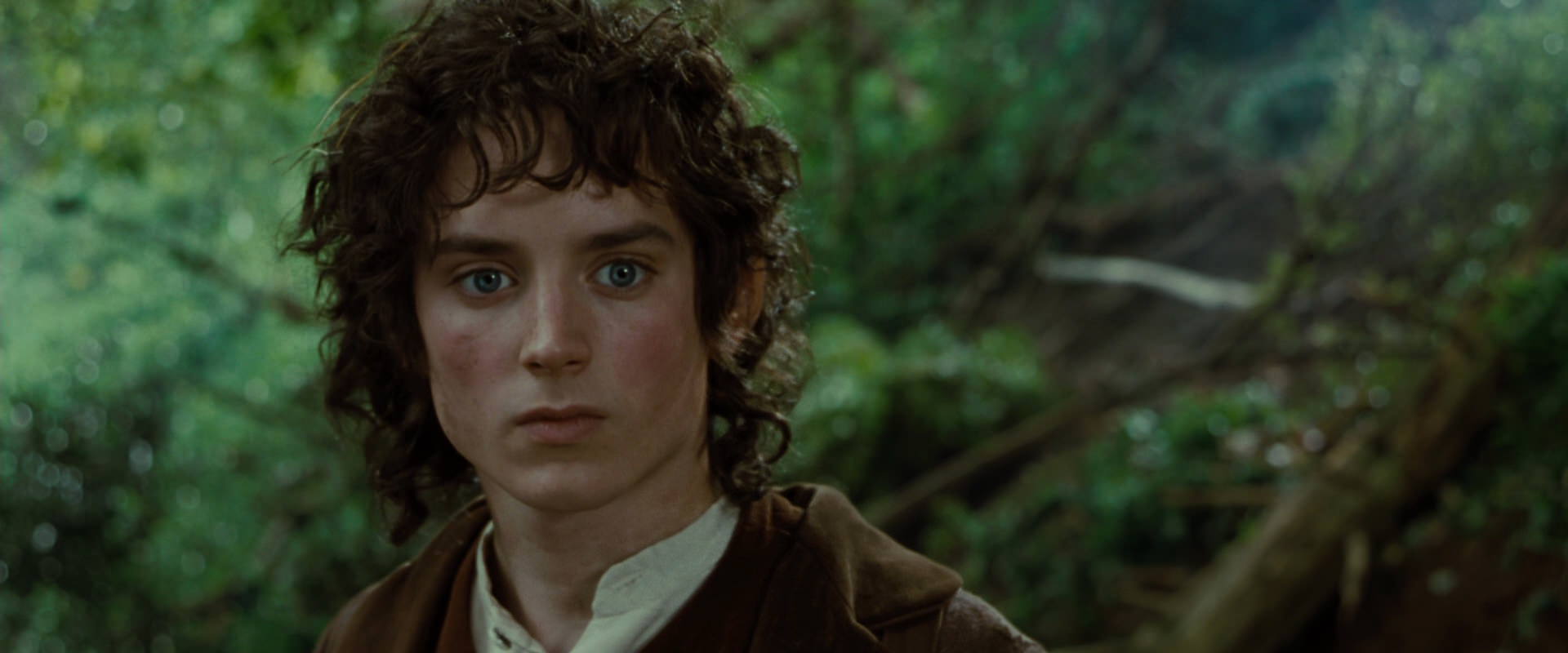 The Lord of the Rings: The Fellowship of the Ring (2001) screencap 6147