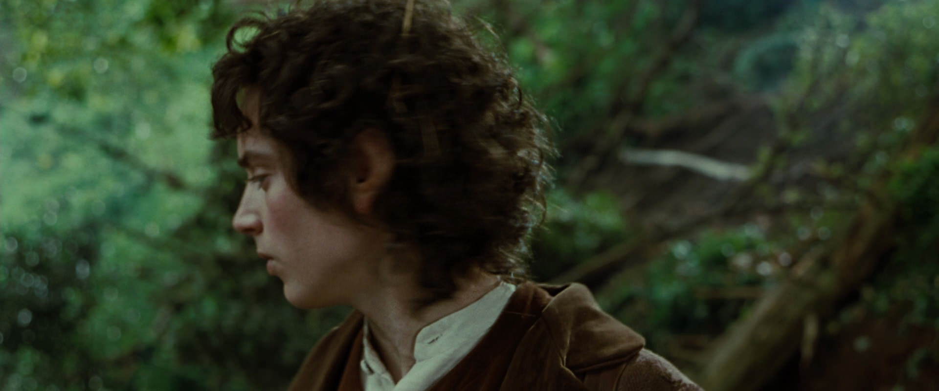 The Lord of the Rings: The Fellowship of the Ring (2001) movie still 6148