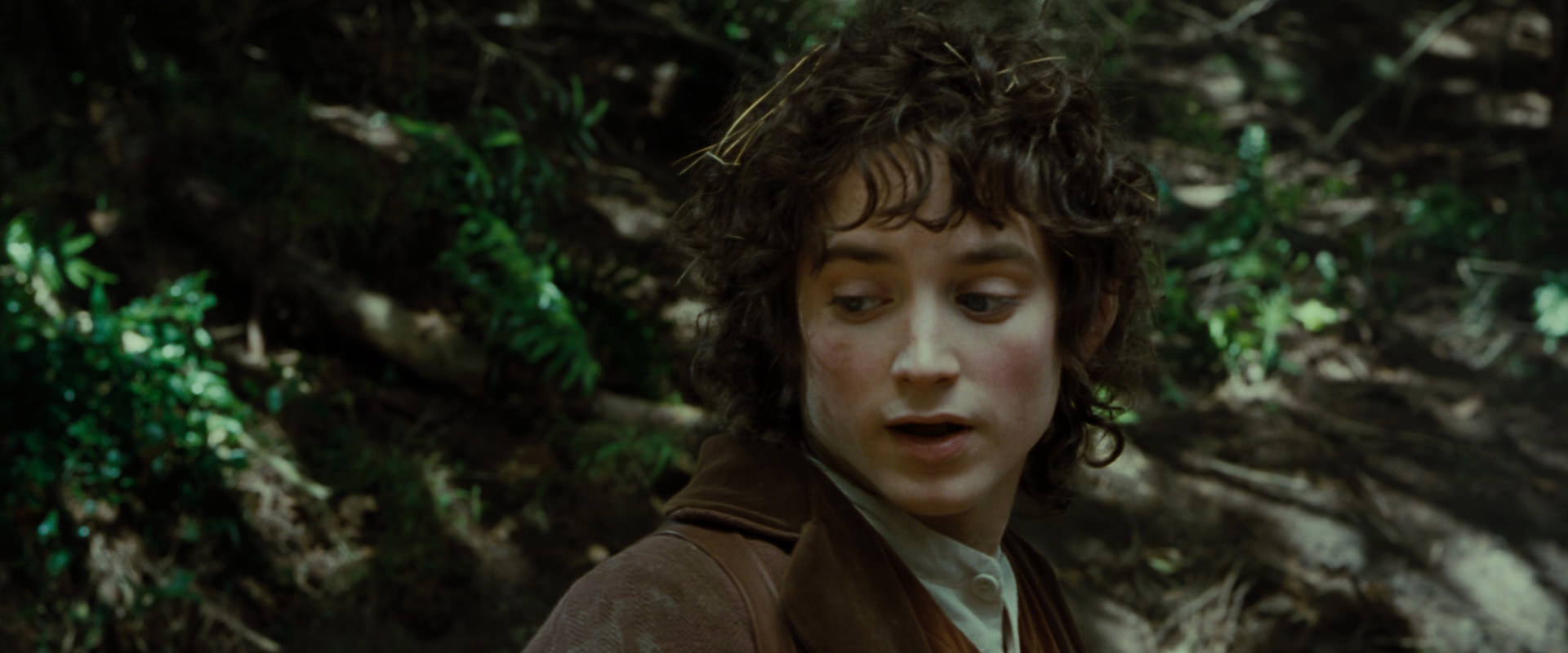 The Lord of the Rings: The Fellowship of the Ring (2001) HD screenshot 6149
