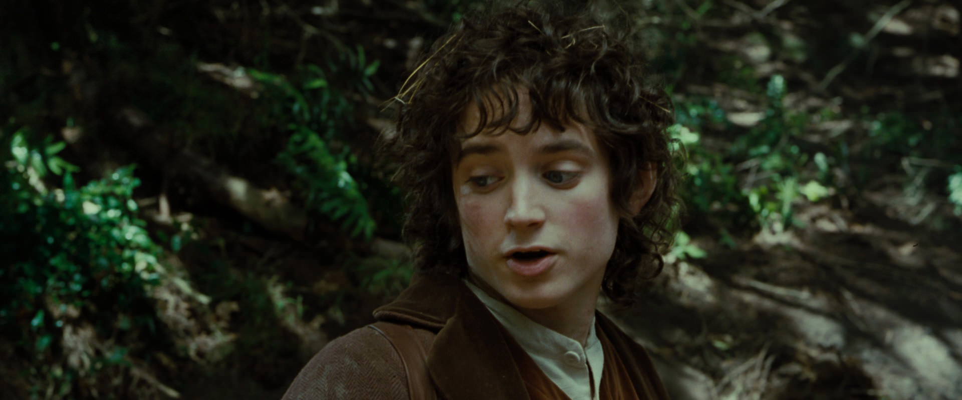 The Lord of the Rings: The Fellowship of the Ring (2001) screencap 6150
