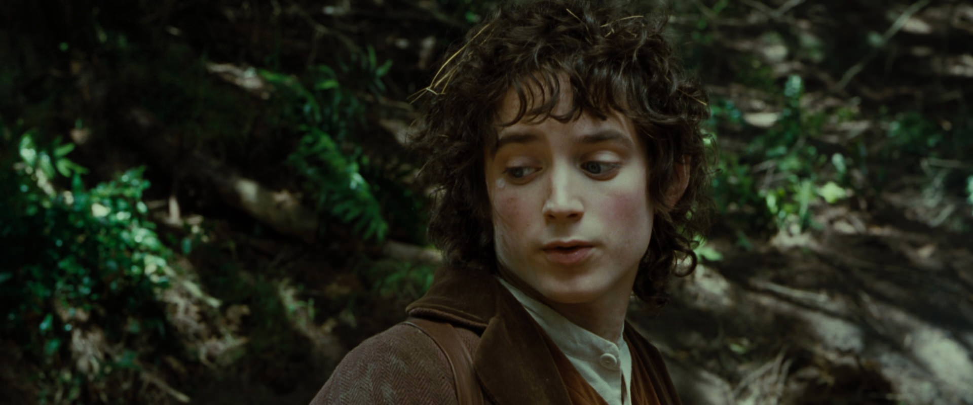 The Lord of the Rings: The Fellowship of the Ring (2001) movie still 6151