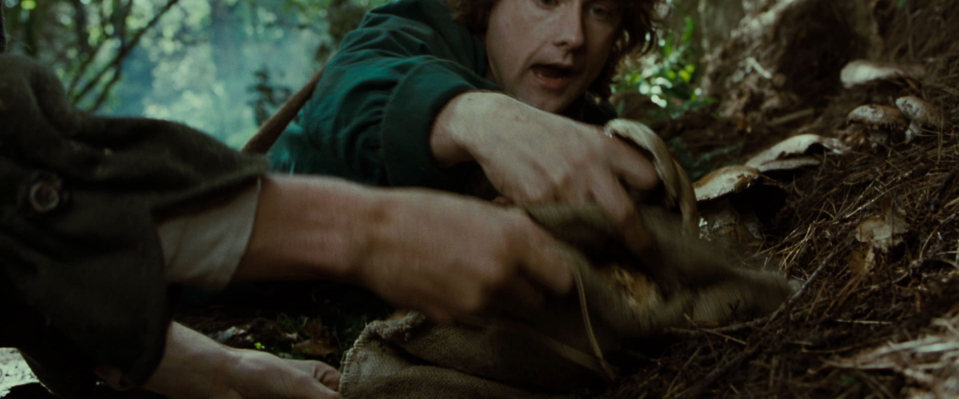The Lord of the Rings: The Fellowship of the Ring (2001) HD screenshot 6152
