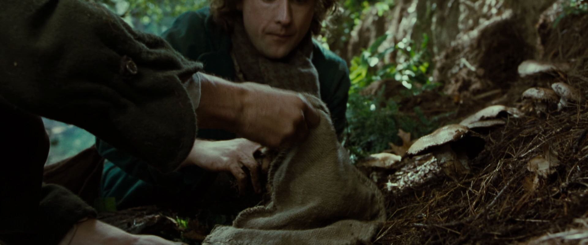 The Lord of the Rings: The Fellowship of the Ring (2001) screencap 6153