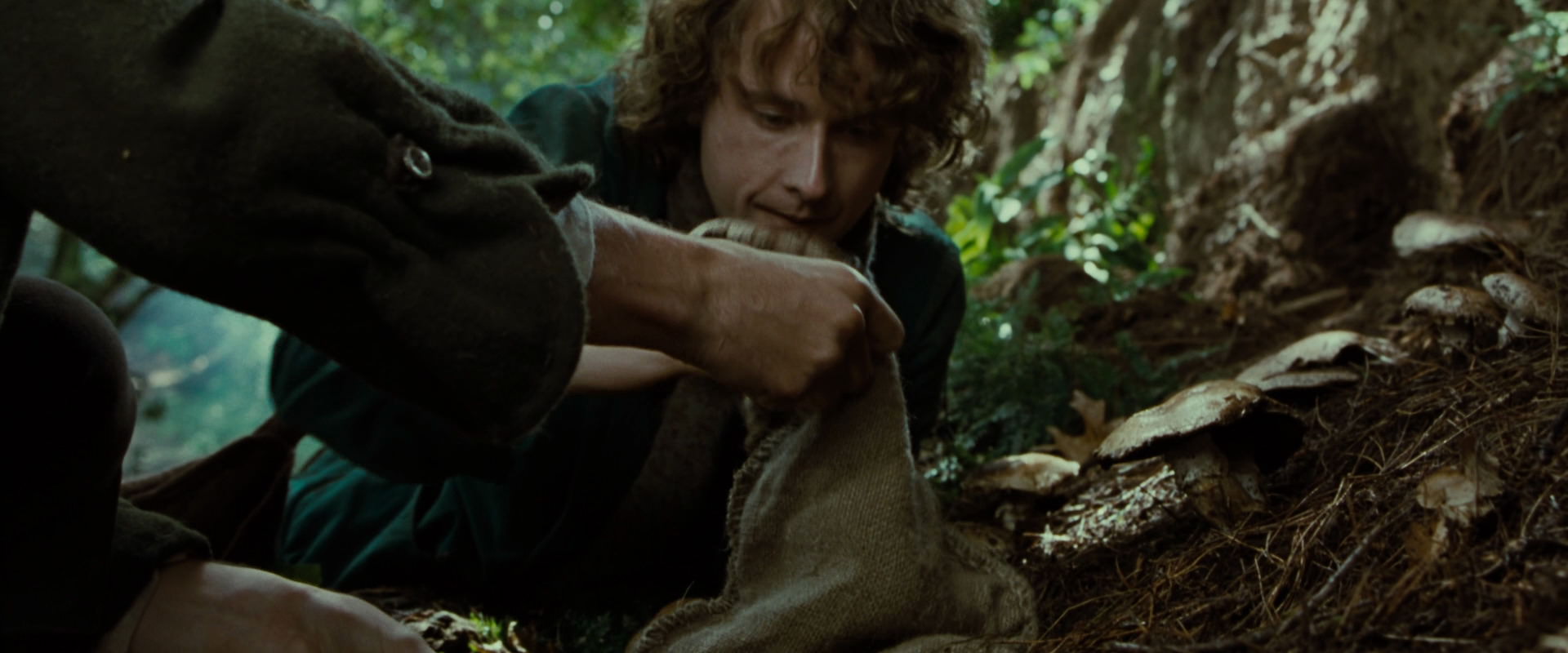 The Lord of the Rings: The Fellowship of the Ring (2001) movie still 6154