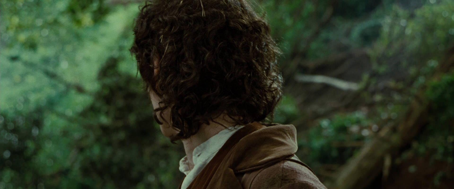 The Lord of the Rings: The Fellowship of the Ring (2001) HD screenshot 6155