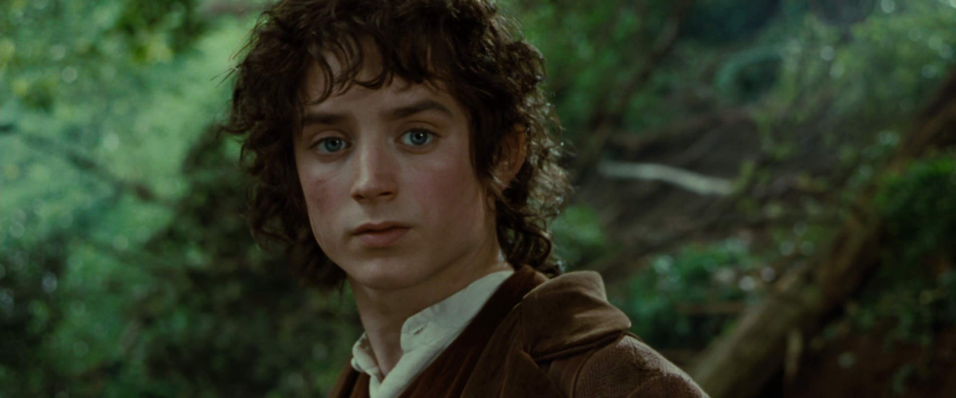 The Lord of the Rings: The Fellowship of the Ring (2001) screencap 6156