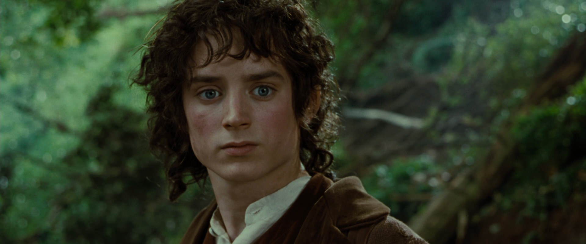 The Lord of the Rings: The Fellowship of the Ring (2001) movie still 6157