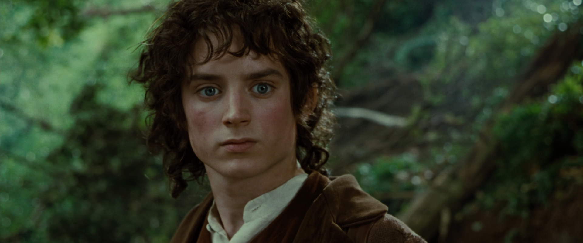 The Lord of the Rings: The Fellowship of the Ring (2001) HD screenshot 6158