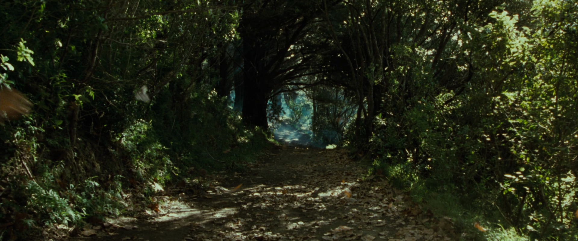 The Lord of the Rings: The Fellowship of the Ring (2001) screencap 6159