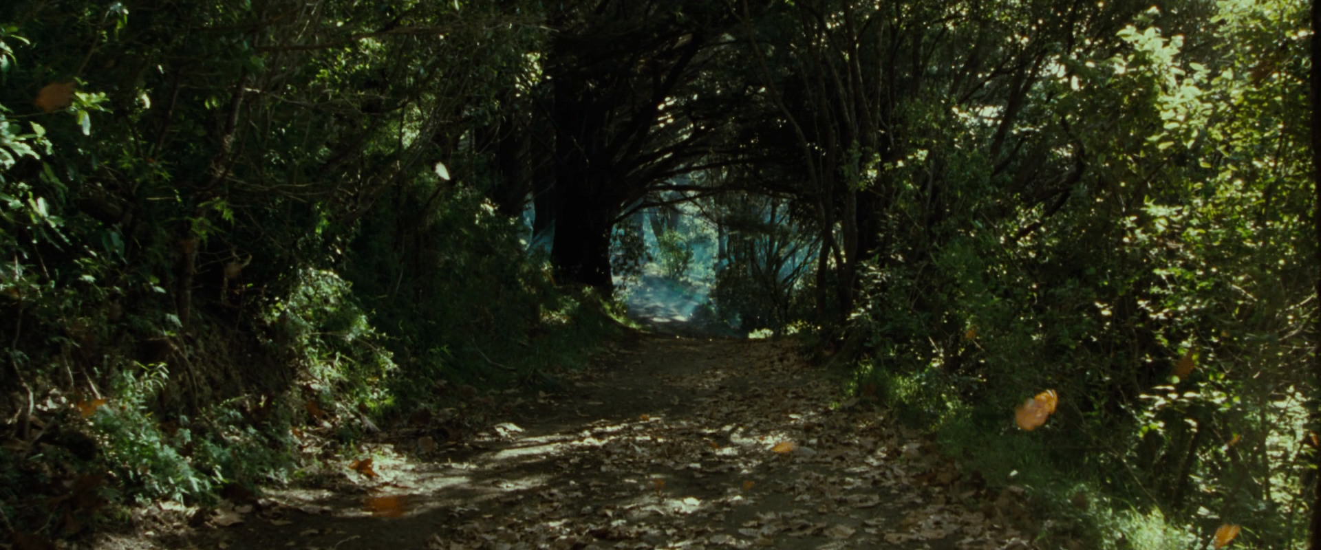The Lord of the Rings: The Fellowship of the Ring (2001) movie still 6160