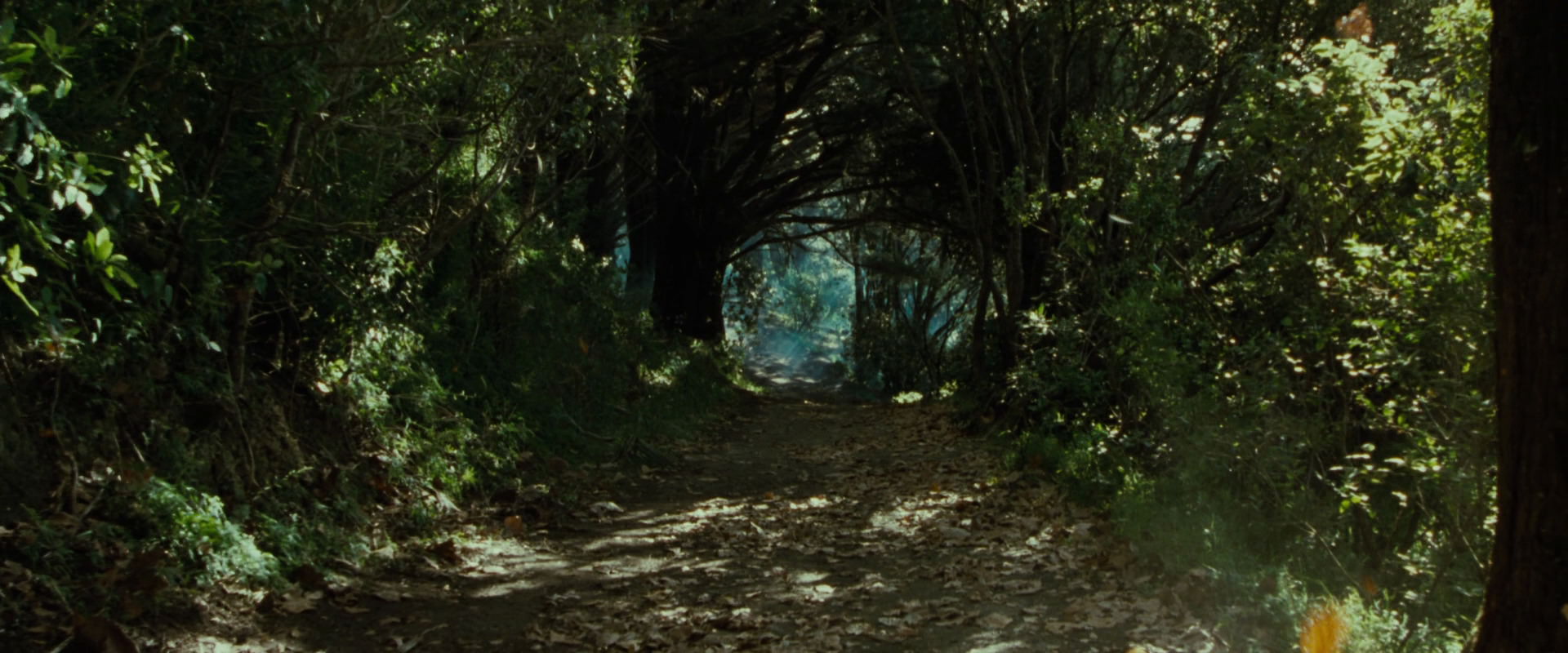 The Lord of the Rings: The Fellowship of the Ring (2001) HD screenshot 6161