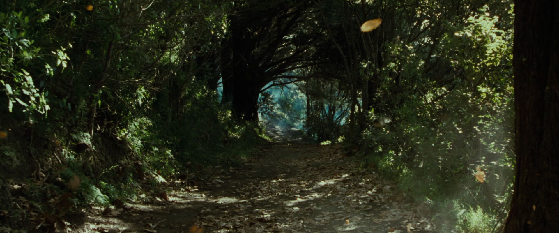 The Lord of the Rings: The Fellowship of the Ring (2001) screencap 6162