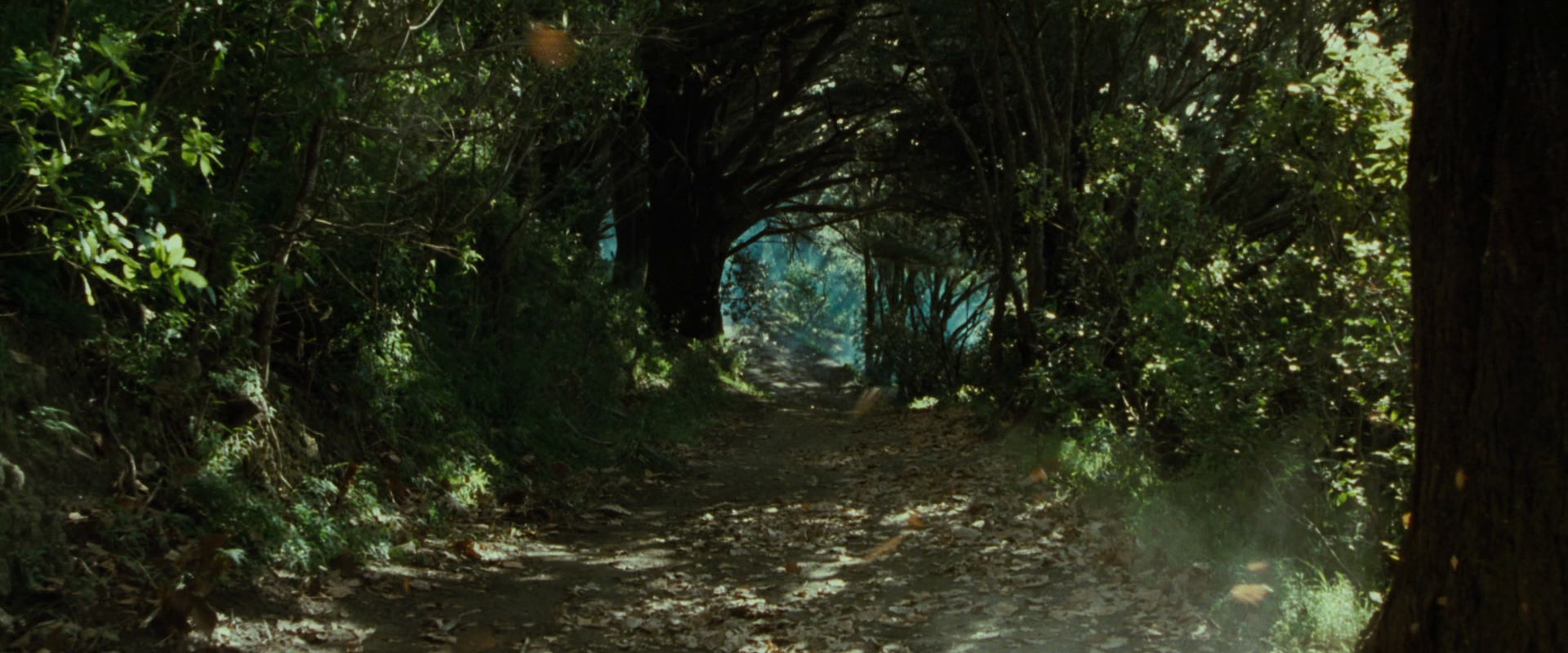 The Lord of the Rings: The Fellowship of the Ring (2001) movie still 6163