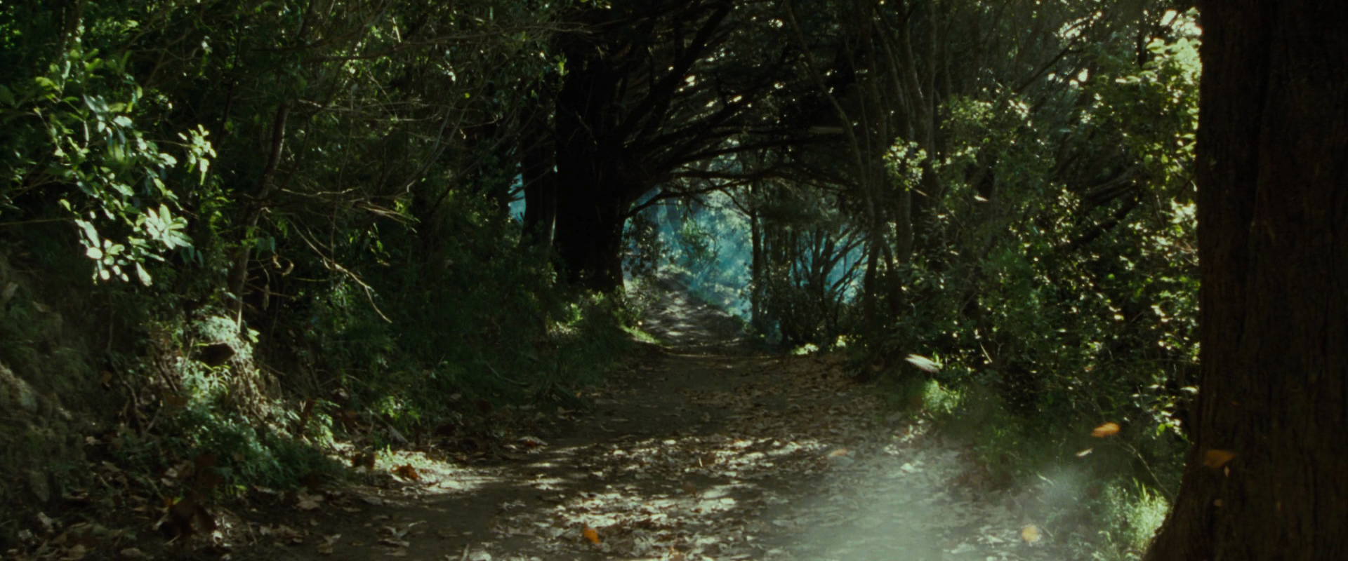 The Lord of the Rings: The Fellowship of the Ring (2001) HD screenshot 6164