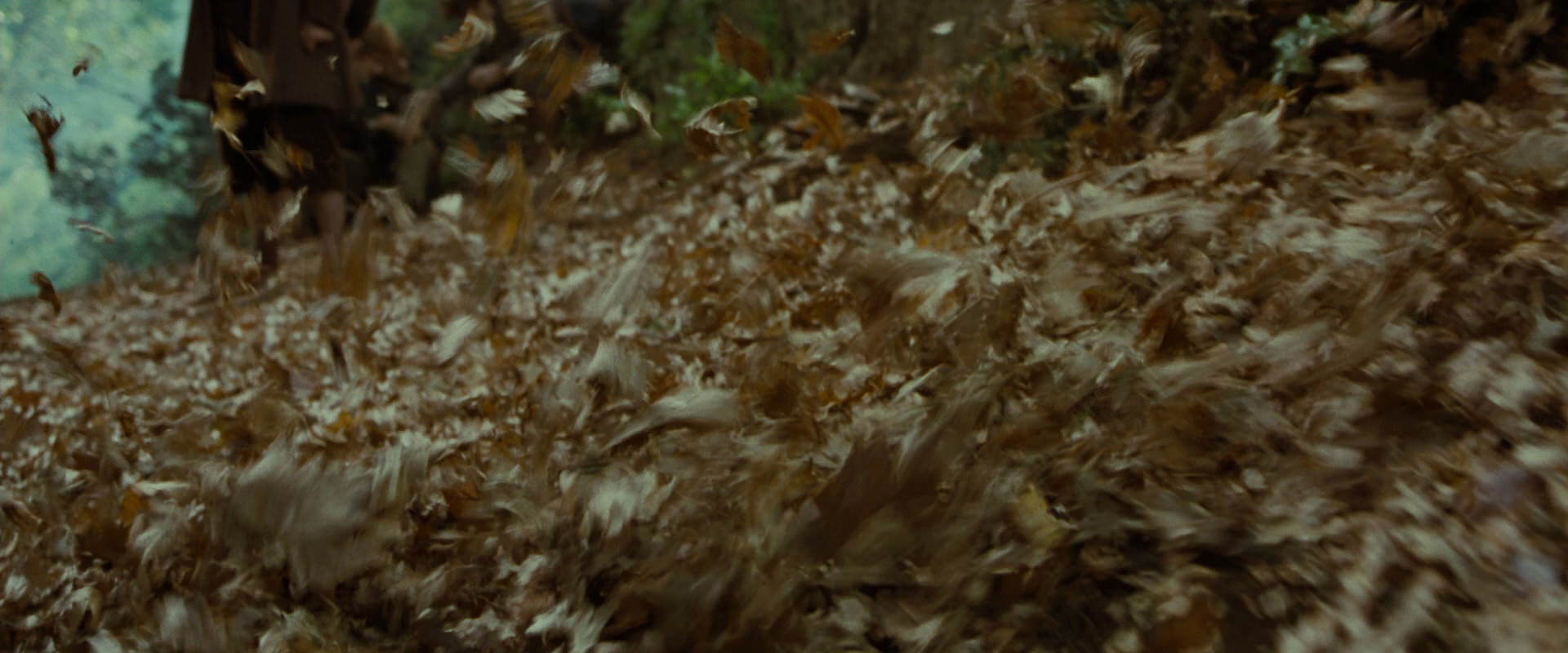 The Lord of the Rings: The Fellowship of the Ring (2001) screencap 6165