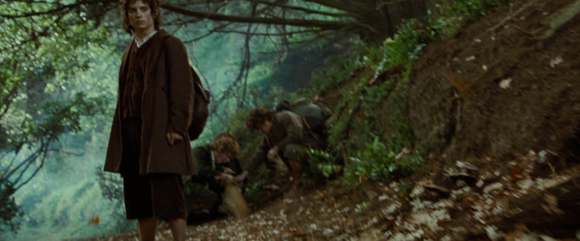 The Lord of the Rings: The Fellowship of the Ring (2001) screencap 6168