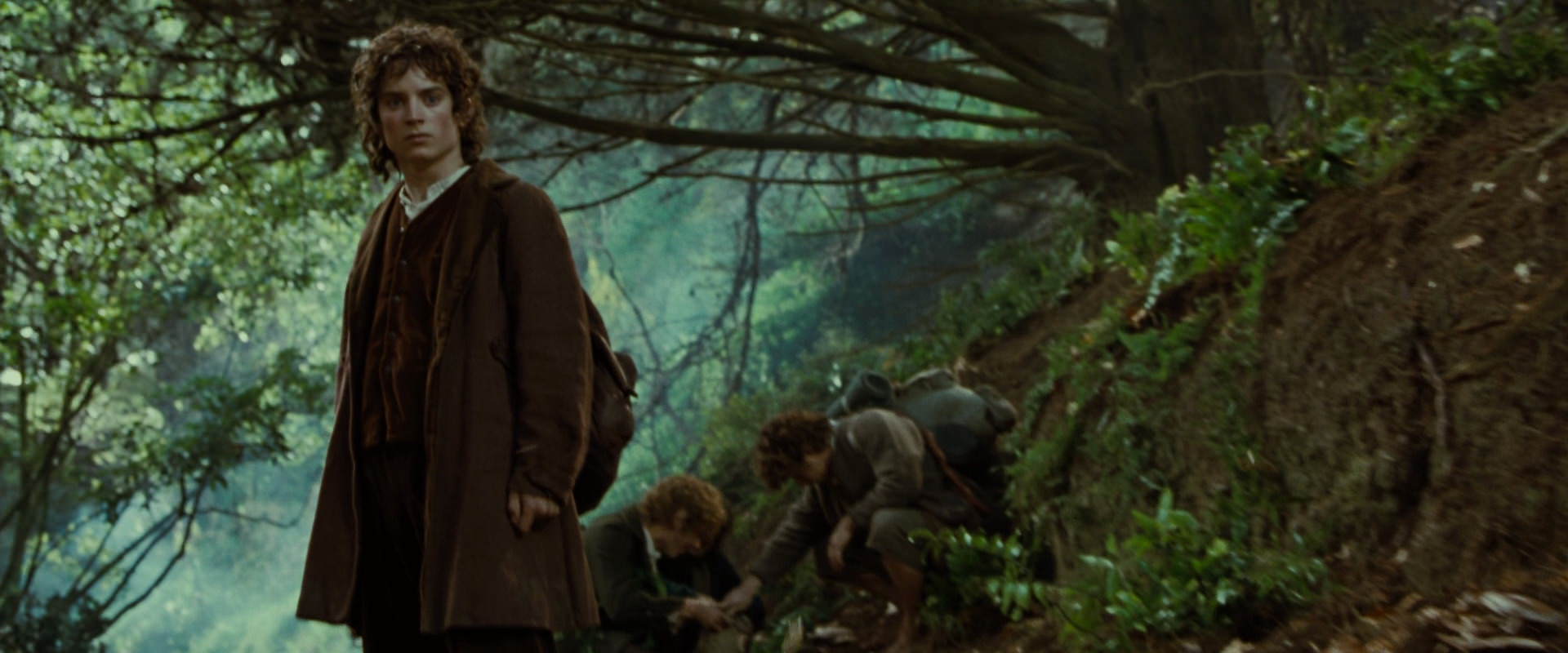 The Lord of the Rings: The Fellowship of the Ring (2001) movie still 6169