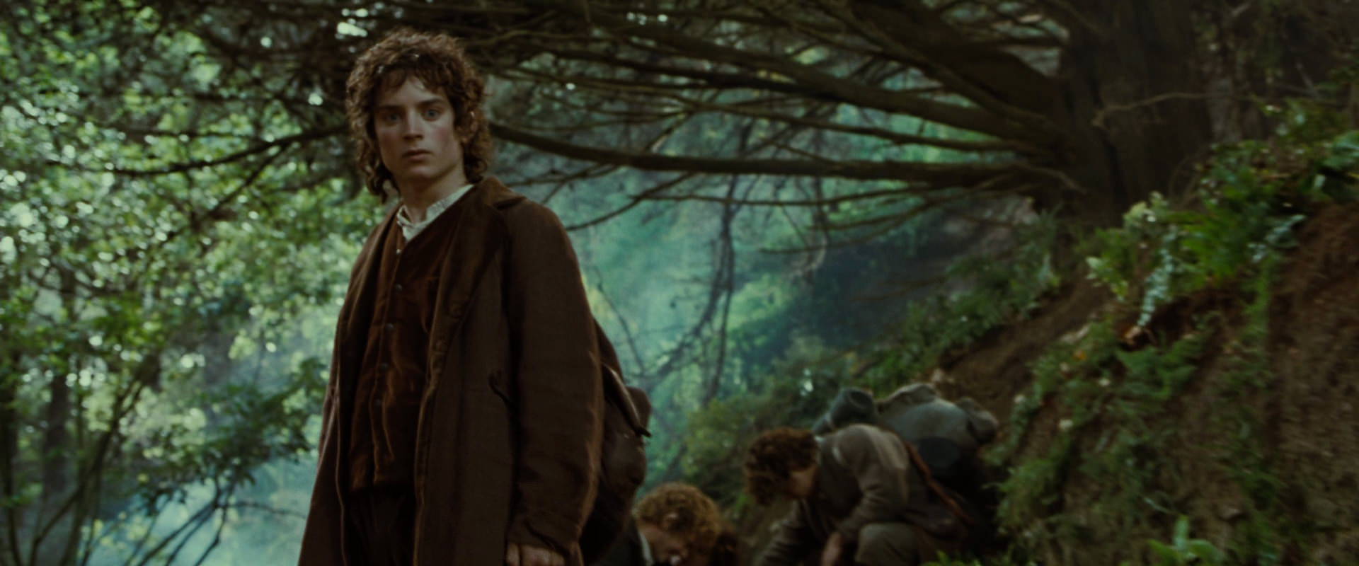 The Lord of the Rings: The Fellowship of the Ring (2001) HD screenshot 6170
