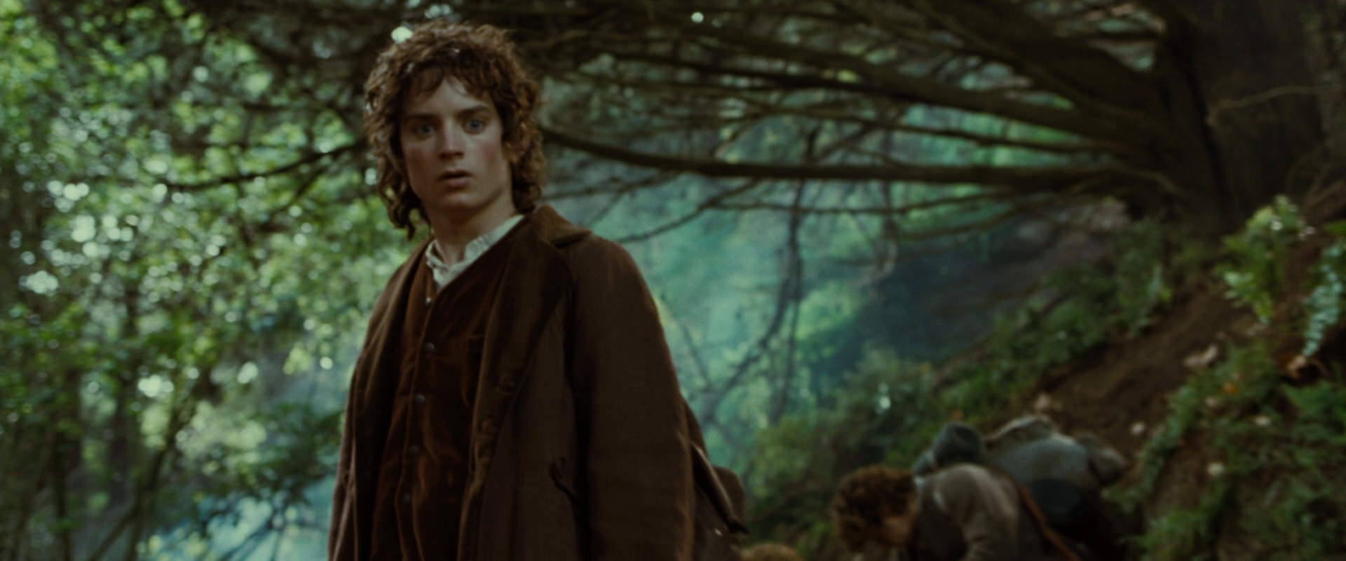 The Lord of the Rings: The Fellowship of the Ring (2001) screencap 6171