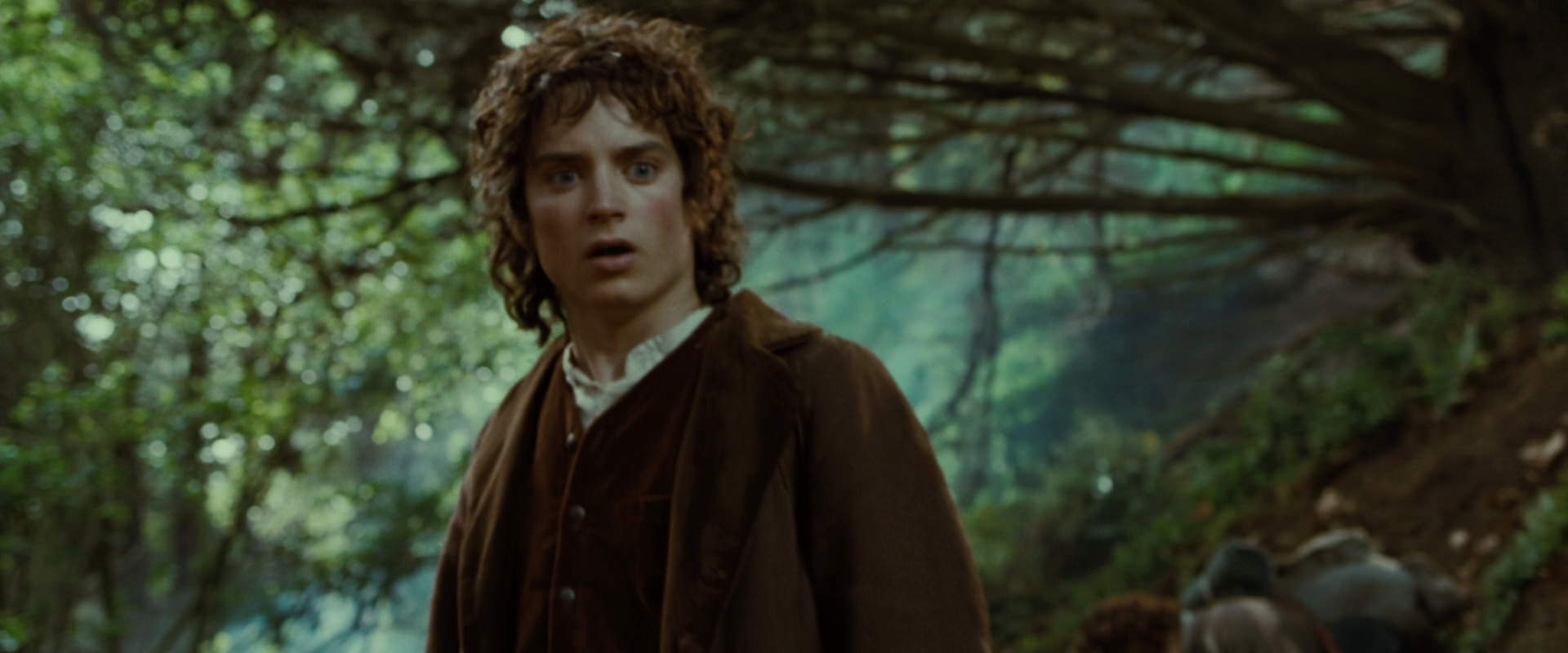 The Lord of the Rings: The Fellowship of the Ring (2001) movie still 6172