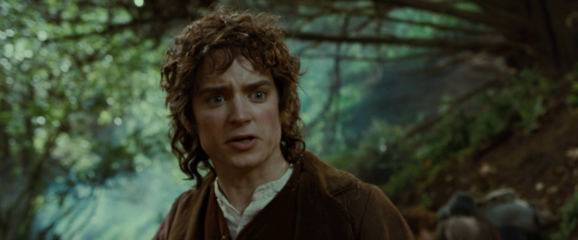 The Lord of the Rings: The Fellowship of the Ring (2001) screencap 6174