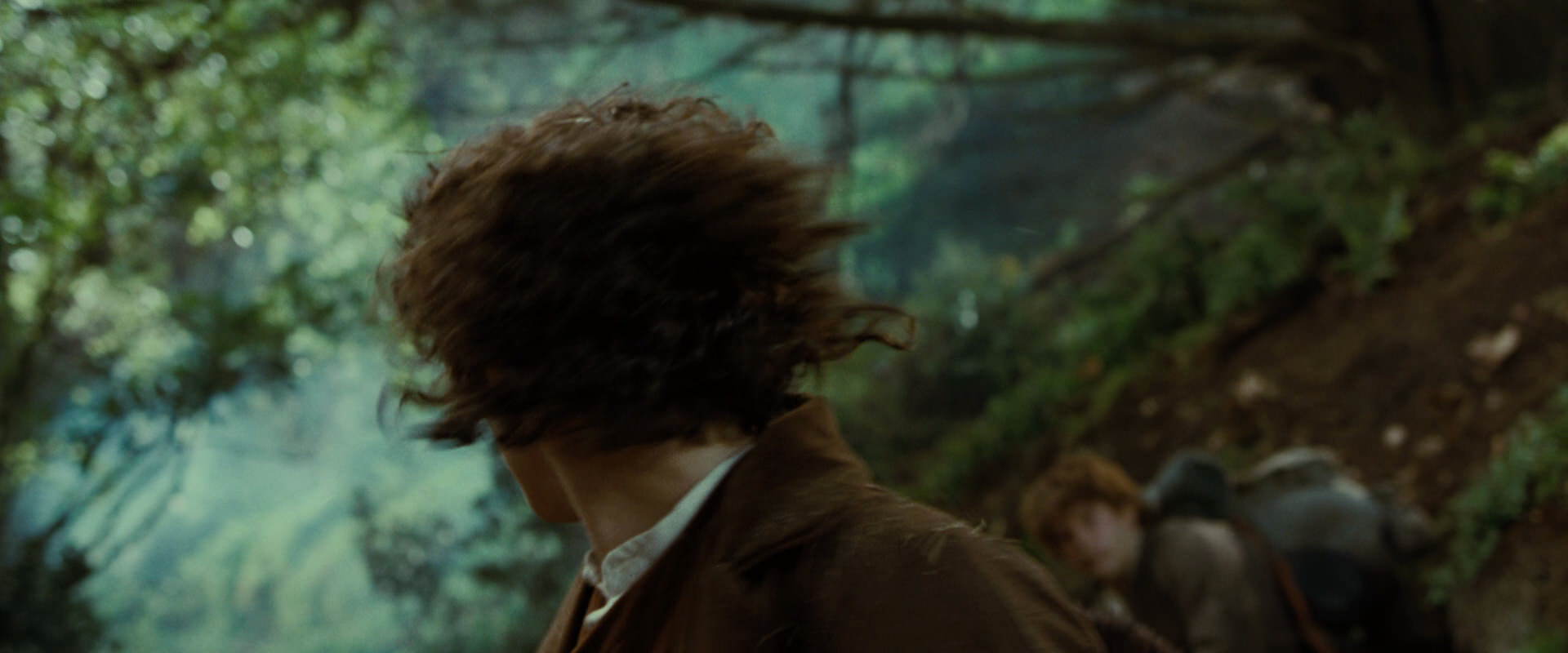 The Lord of the Rings: The Fellowship of the Ring (2001) movie still 6175
