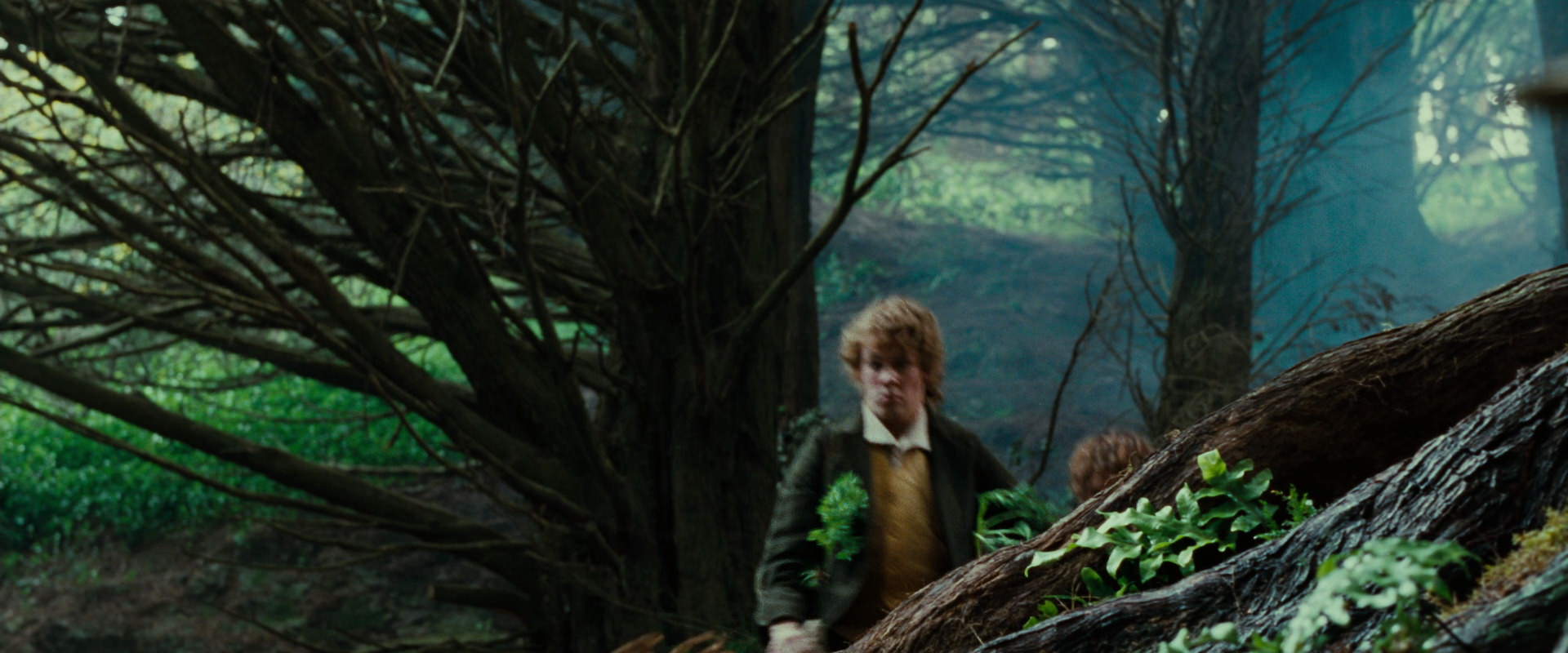 The Lord of the Rings: The Fellowship of the Ring (2001) HD screenshot 6176