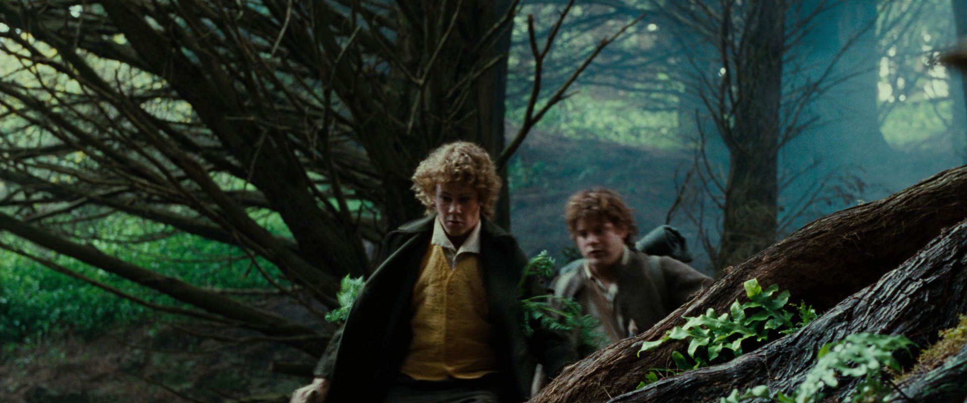 The Lord of the Rings: The Fellowship of the Ring (2001) screencap 6177