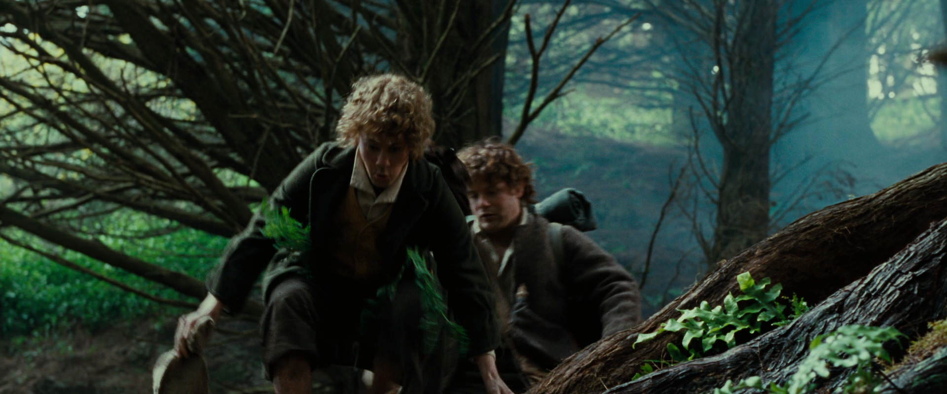 The Lord of the Rings: The Fellowship of the Ring (2001) movie still 6178