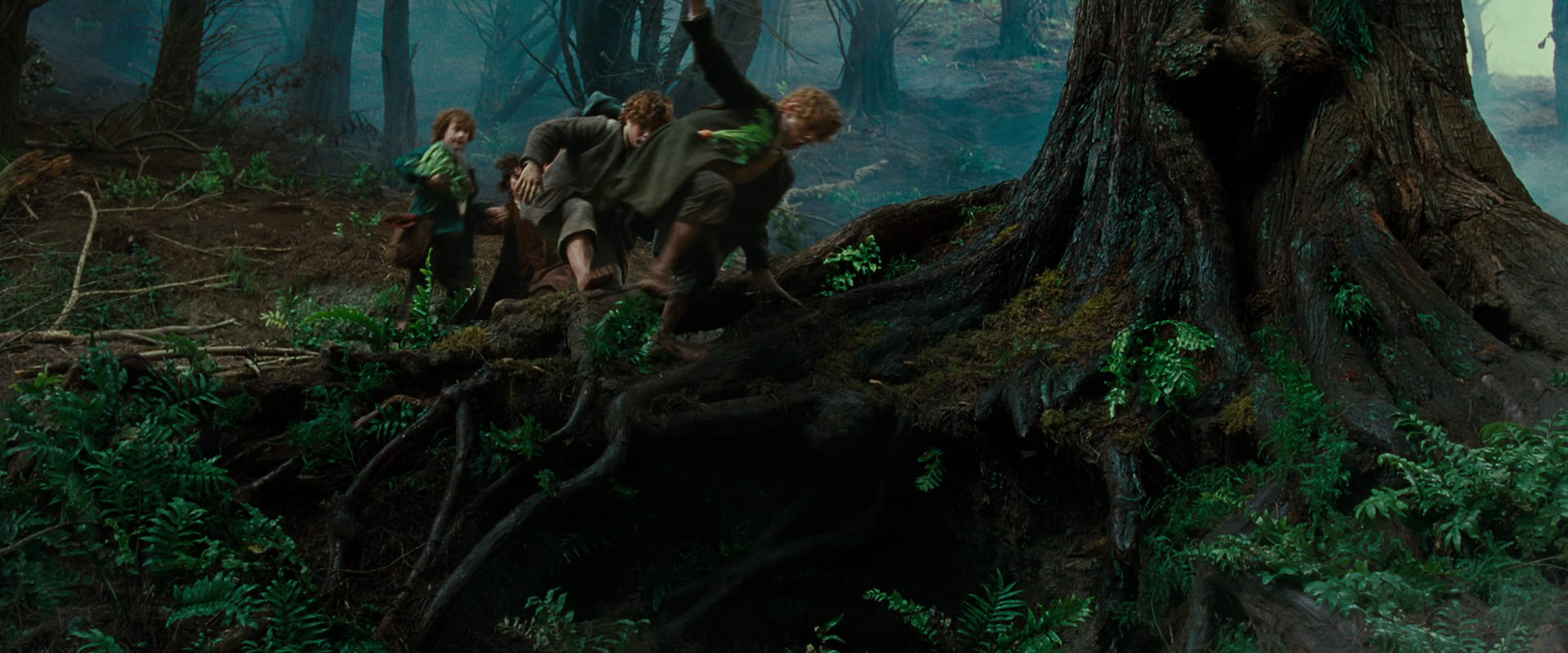 The Lord of the Rings: The Fellowship of the Ring (2001) HD screenshot 6179