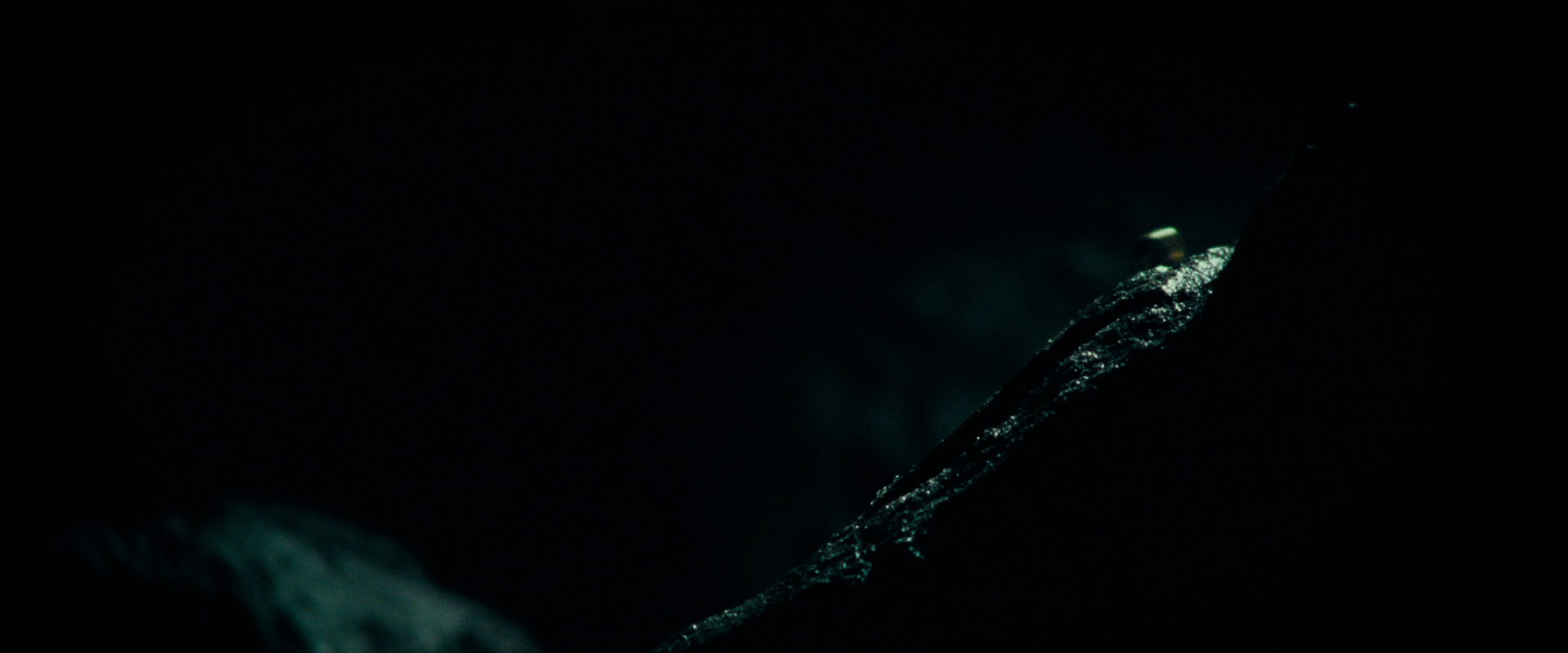 The Lord of the Rings: The Fellowship of the Ring (2001) screencap 618